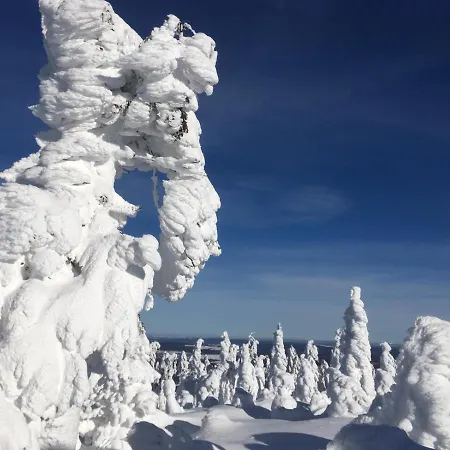 Daire Direkt Am Skihang! Mueller