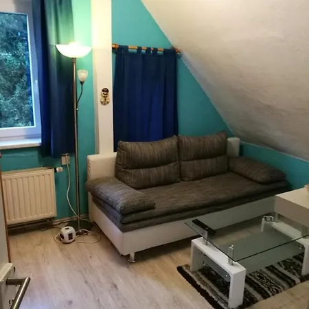 Daire Direkt Am Skihang! Mueller