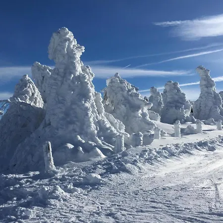 Appartement Direkt Am Skihang! Mueller