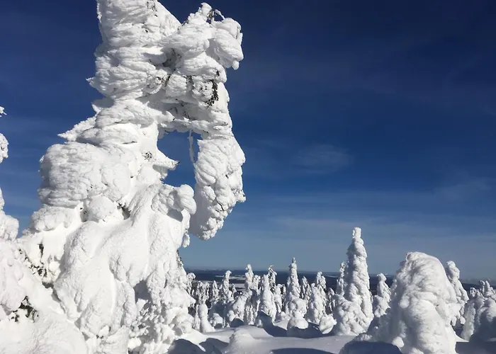 Апартаменты Direkt Am Skihang! Mueller