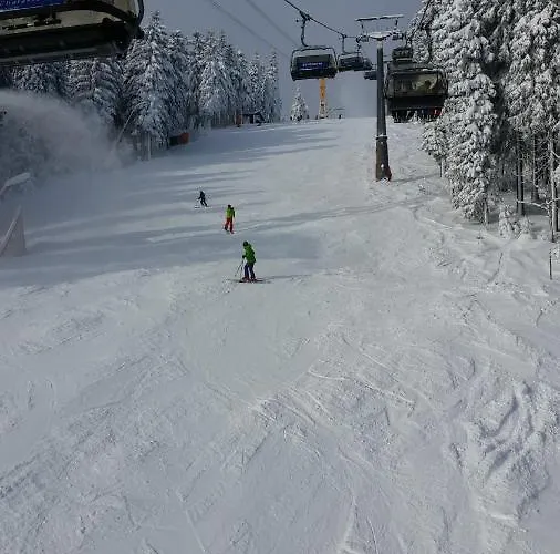 Апартаменты Direkt Am Skihang! Mueller Курорт Обервизенталь