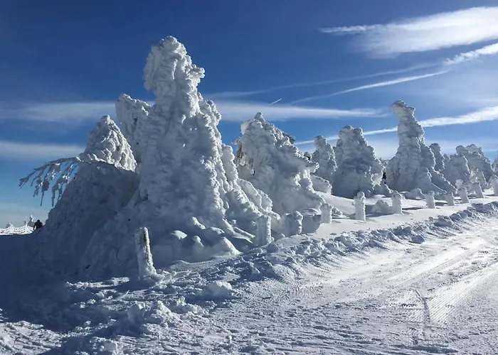 Апартаменты Direkt Am Skihang! Mueller